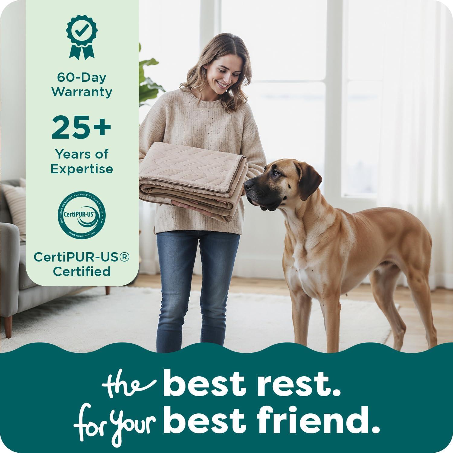 imageFurHaven Dog Bed Cover Replacement SofaStyle Design with Soft Breathable Fabric for Cozy Comfort Machine Washable Medium Plush ampamp Velvet Waves BrownstoneBrownstone
