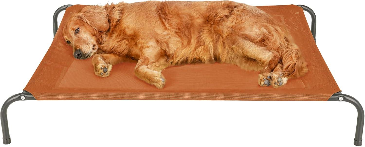 imageFurHaven Elevated Pet Cots Cooling ampamp Breathable Nylon Mesh Hammock for Small Dogs ampamp CatsEasytoAssembleDurable and ReinforcedPerfect for Rest ampamp Relaxation Outdoors Graphite Gray SmallTerracotta Red