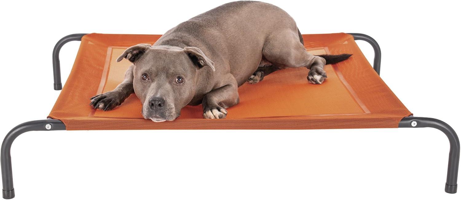 imageFurHaven Elevated Pet Cots Cooling ampamp Breathable Nylon Mesh Hammock for Small Dogs ampamp CatsEasytoAssembleDurable and ReinforcedPerfect for Rest ampamp Relaxation Outdoors Graphite Gray SmallTerracotta Red