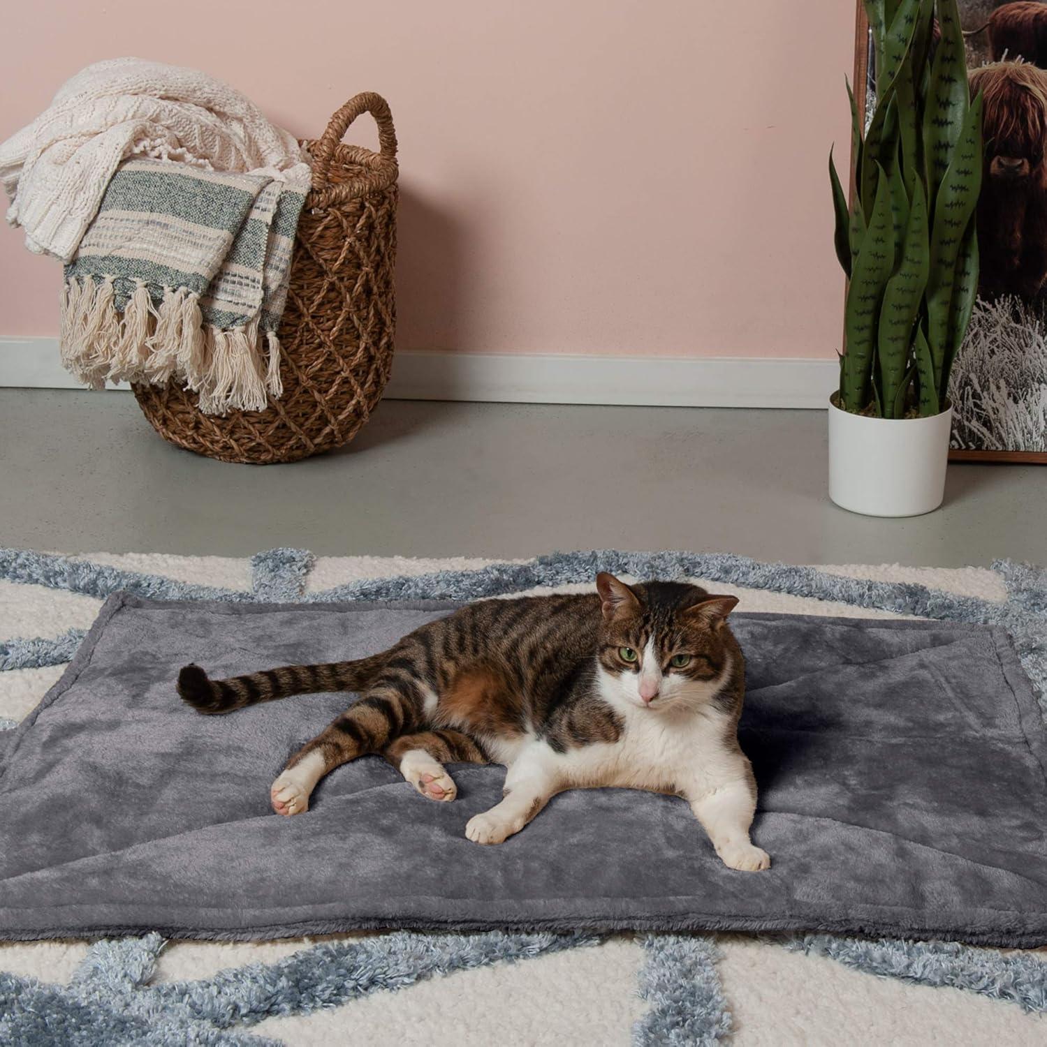imageFurHaven ThermaNAP Self Warming Cat Mat Dog Bed for Crates with SelfWarming Technology for Cozy Rest Fully Machine Washable Small Plush Faux Fur BlackGray