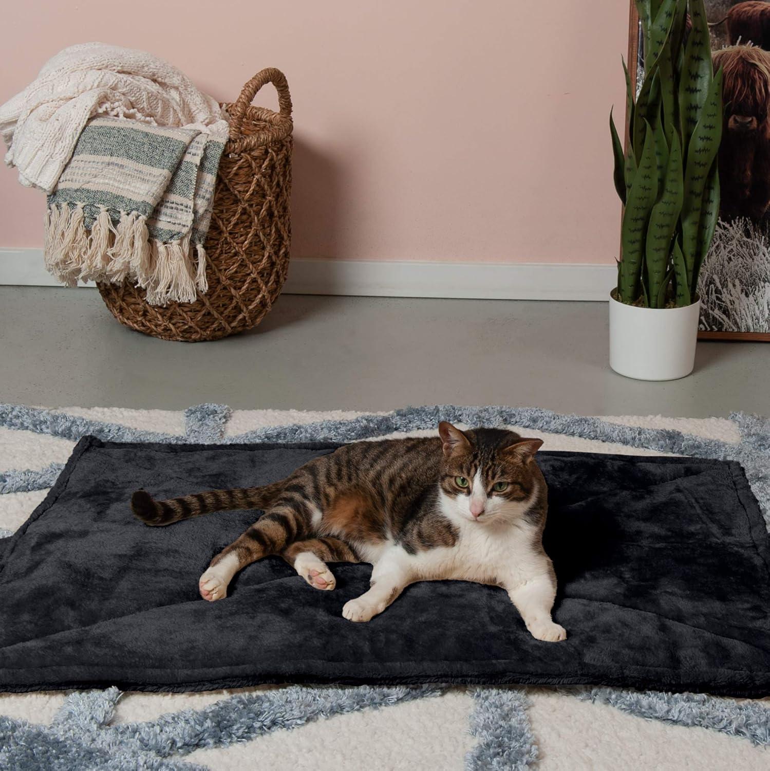 imageFurHaven ThermaNAP Self Warming Cat Mat Dog Bed for Crates with SelfWarming Technology for Cozy Rest Fully Machine Washable Small Plush Faux Fur BlackBlack