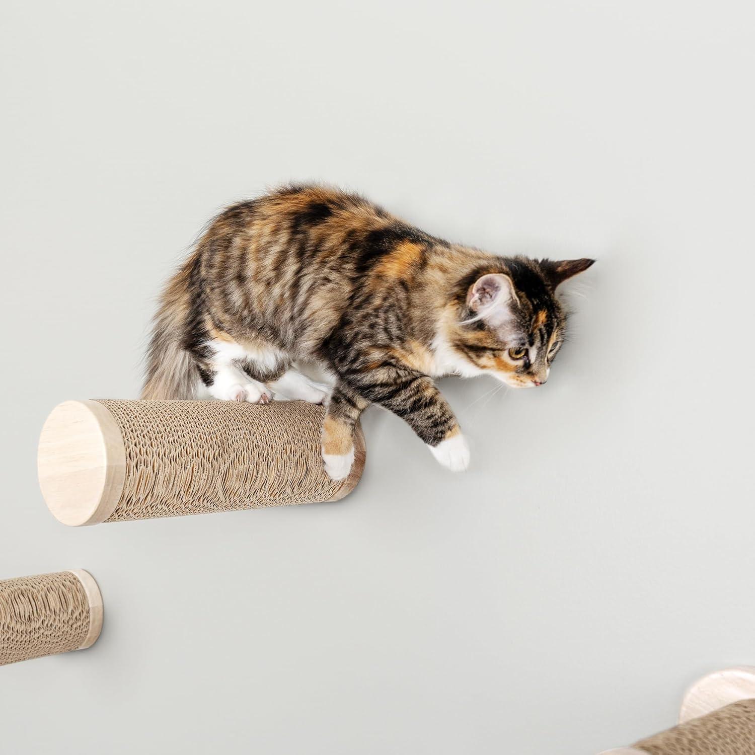 imageFurhaven 1575quot Tall Playground for Indoor Cats Ft Sisal Scratching Posts SelfGrooming Brush ampamp Toy Tiger Tough Hammock Interactive Playground Silver One SizeAscentials Milestone