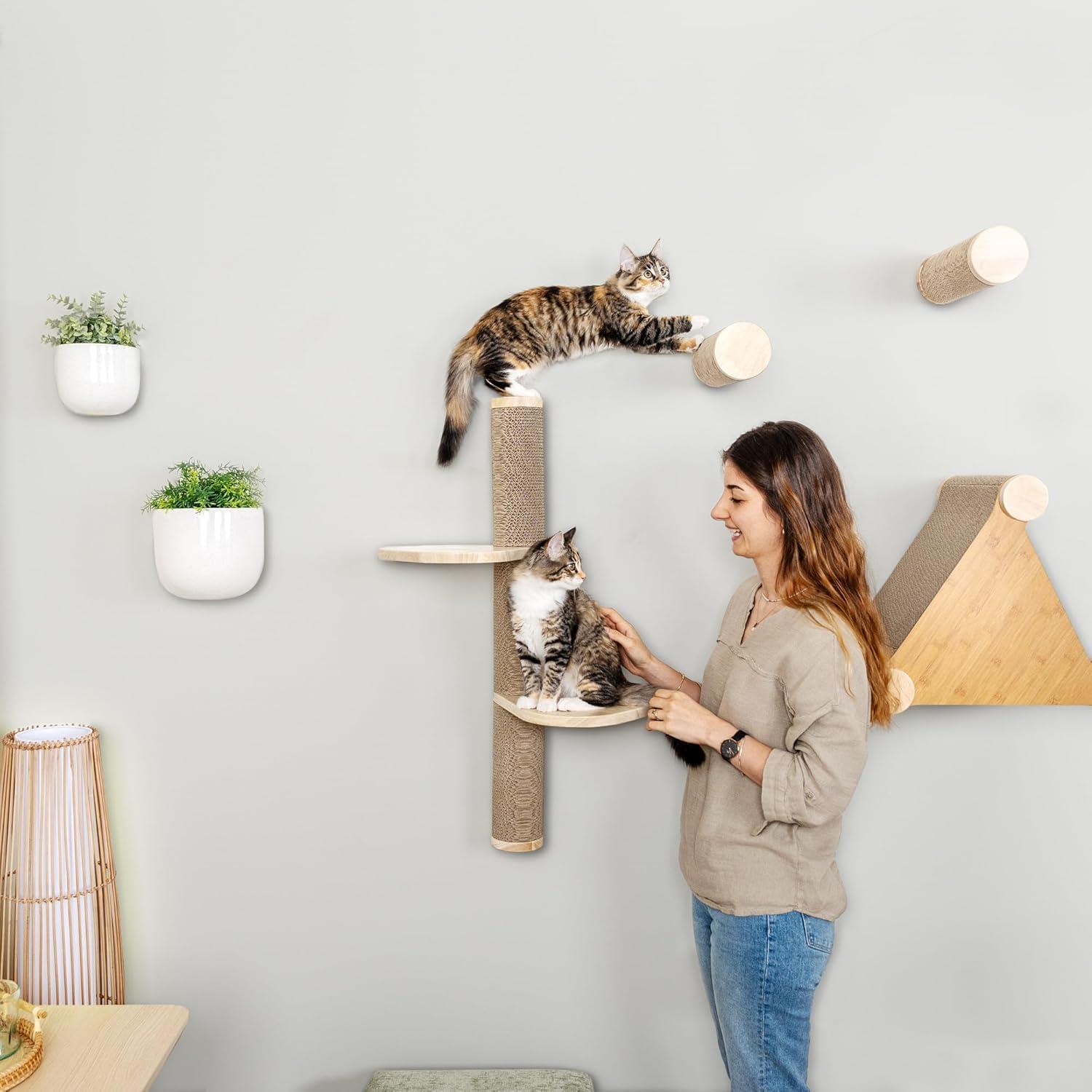 imageFurhaven 1575quot Tall Playground for Indoor Cats Ft Sisal Scratching Posts SelfGrooming Brush ampamp Toy Tiger Tough Hammock Interactive Playground Silver One SizeAscentials Sunrise Steps