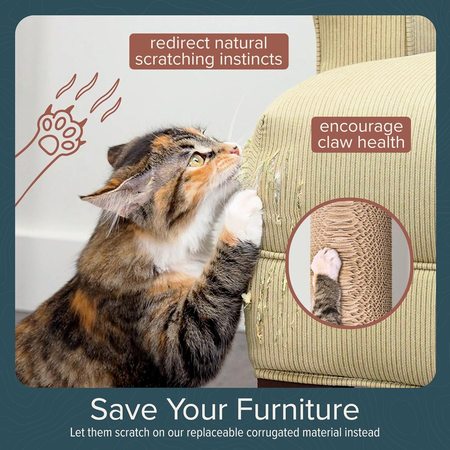 imageFurhaven 1575quot Tall Playground for Indoor Cats Ft Sisal Scratching Posts SelfGrooming Brush ampamp Toy Tiger Tough Hammock Interactive Playground Silver One SizeAscentials Sunrise Steps