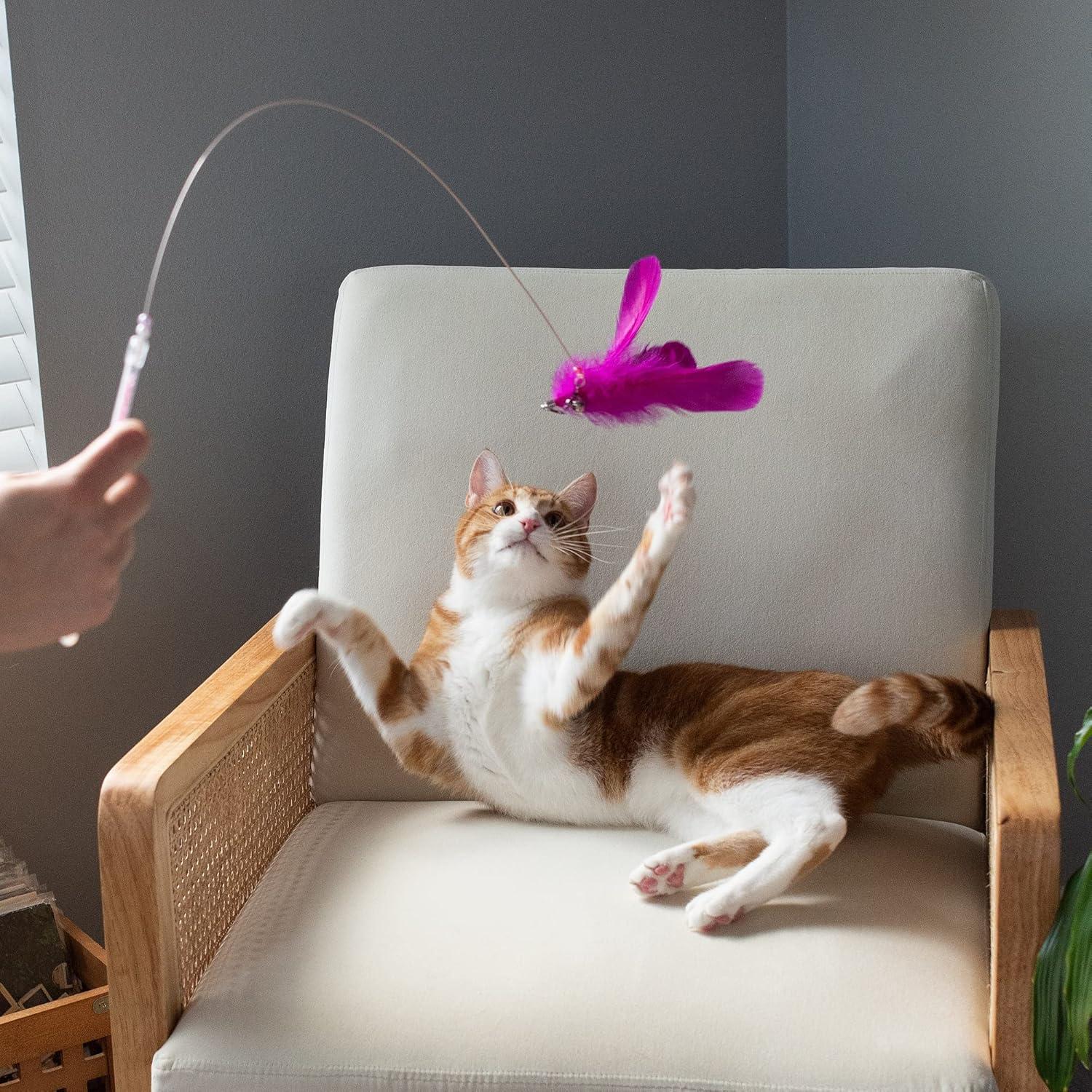 imageFurhaven 2Pack Teaser Cat Wand Toy Set for Indoor Cats Interactive Play ampamp Exercise Dizzy Kitty Feather Wand Pink Hot PinkLight Pink Set of 2Dizzy Kitty Pink Hot PinkLight Pink