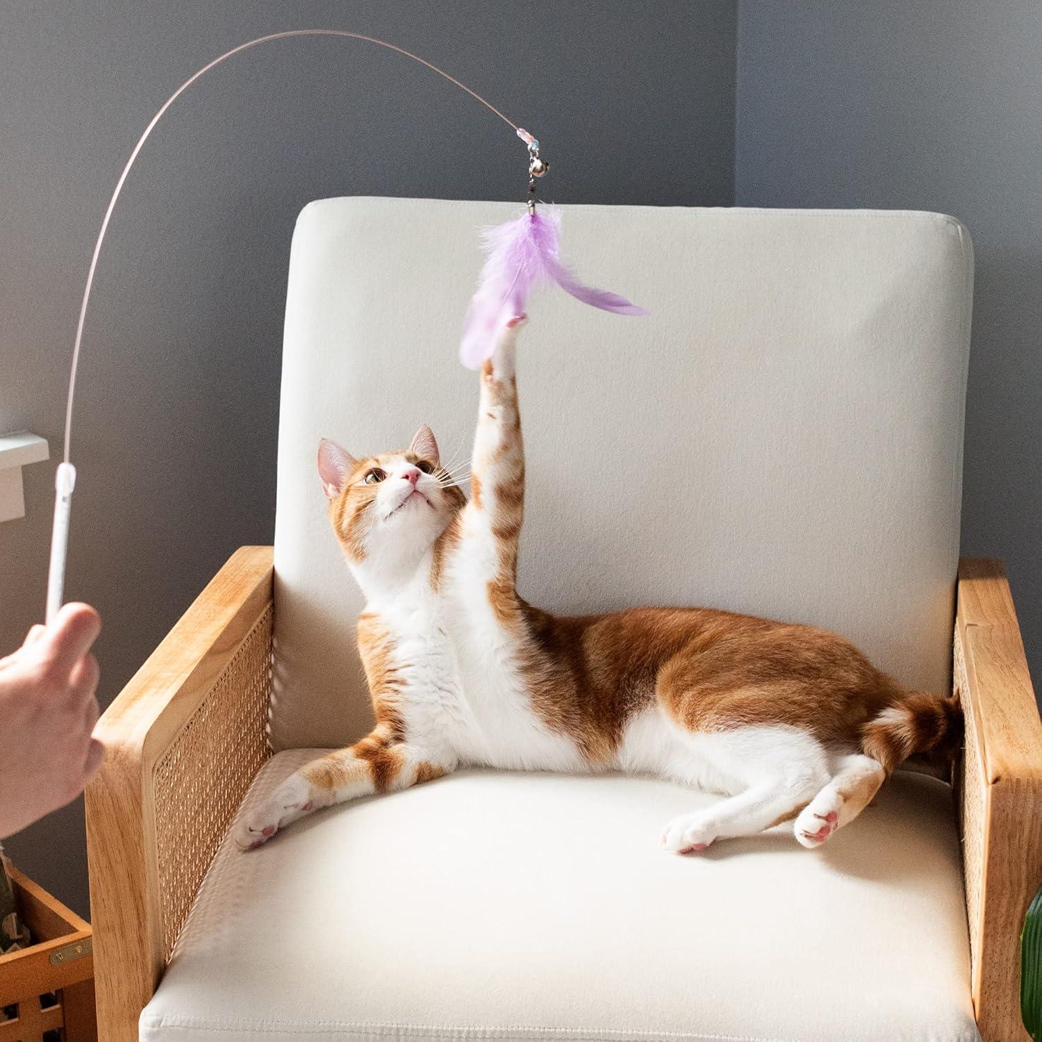 imageFurhaven 2Pack Teaser Cat Wand Toy Set for Indoor Cats Interactive Play ampamp Exercise Dizzy Kitty Feather Wand Pink Hot PinkLight Pink Set of 2Dizzy Kitty Pastel LavenderMint