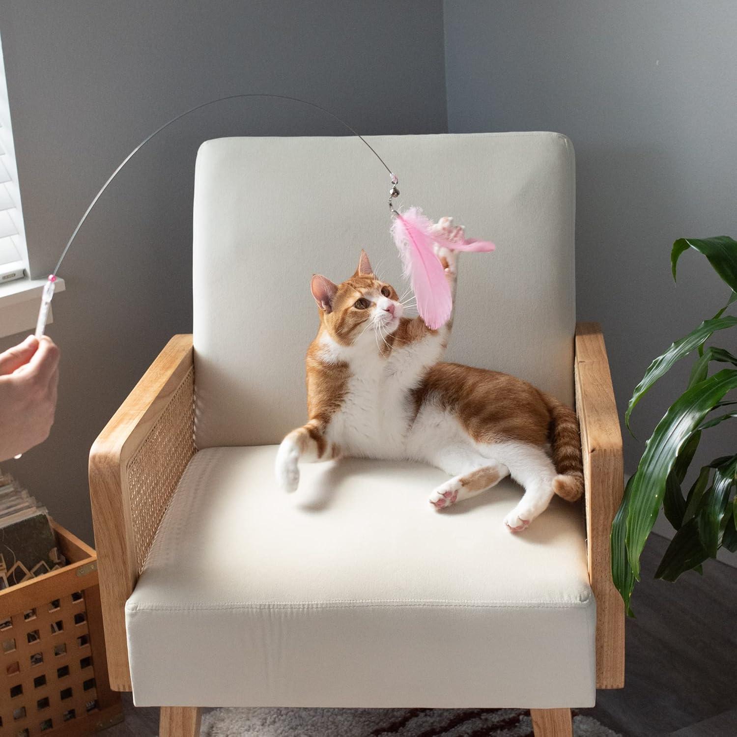 imageFurhaven 2Pack Teaser Cat Wand Toy Set for Indoor Cats Interactive Play ampamp Exercise Dizzy Kitty Feather Wand Pink Hot PinkLight Pink Set of 2Dizzy Kitty Pink Hot PinkLight Pink