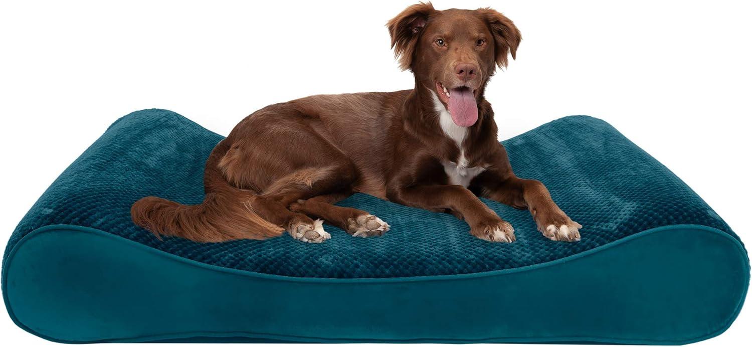 imageFurhaven Cooling Gel Dog Bed for Large Dogs w Removable Washable Cover For Dogs Up to 75 lbs Ultra Plush Faux Fur ampamp Suede Luxe Lounger Contour Mattress Chocolate JumboXLSpruce Blue