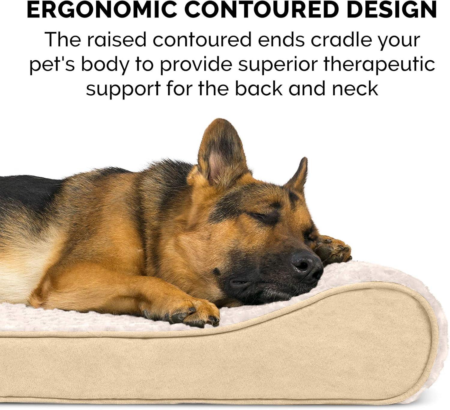 imageFurhaven Memory Foam Dog Bed for Large Dogs w Removable Washable Cover For Dogs Up to 75 lbs Ultra Plush Faux Fur ampamp Suede Luxe Lounger Contour Mattress Cream JumboXL
