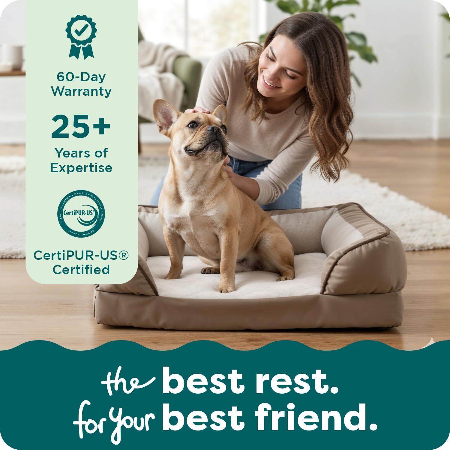 imageFurhaven Memory Foam Dog Bed for MediumSmall Dogs w Removable Bolsters ampamp Washable Cover For Dogs Up to 35 lbs Plush ampamp Velvet Waves Perfect Comfort Sofa Celadon Green MediumCeladon Green Plush Velvet Waves