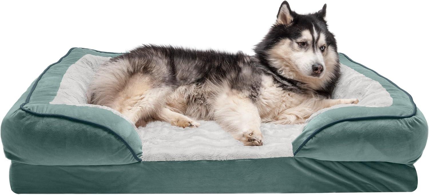 imageFurhaven Memory Foam Dog Bed for MediumSmall Dogs w Removable Bolsters ampamp Washable Cover For Dogs Up to 35 lbs Plush ampamp Velvet Waves Perfect Comfort Sofa Celadon Green MediumCeladon Green Plush Velvet Waves