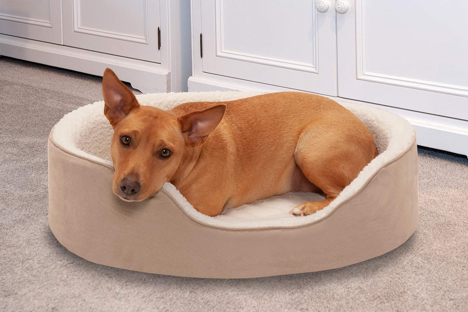 imageFurhaven Orthopedic Dog Bed for LargeMedium Dogs w Removable Washable Cover For Dogs Up to 30 lbs Sherpa ampamp Suede Oval Lounger Clay LargeSherpa Suede Clay