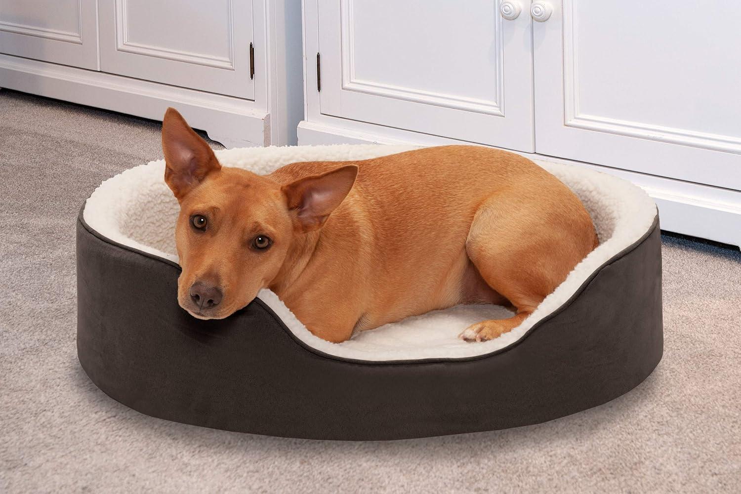 imageFurhaven Orthopedic Dog Bed for LargeMedium Dogs w Removable Washable Cover For Dogs Up to 30 lbs Sherpa ampamp Suede Oval Lounger Clay LargeSherpa Suede Espresso