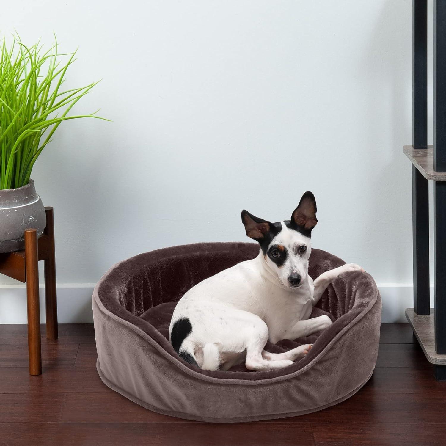 imageFurhaven Orthopedic Dog Bed for LargeMedium Dogs w Removable Washable Cover For Dogs Up to 30 lbs Sherpa ampamp Suede Oval Lounger Clay LargeVelvet Driftwood Brown
