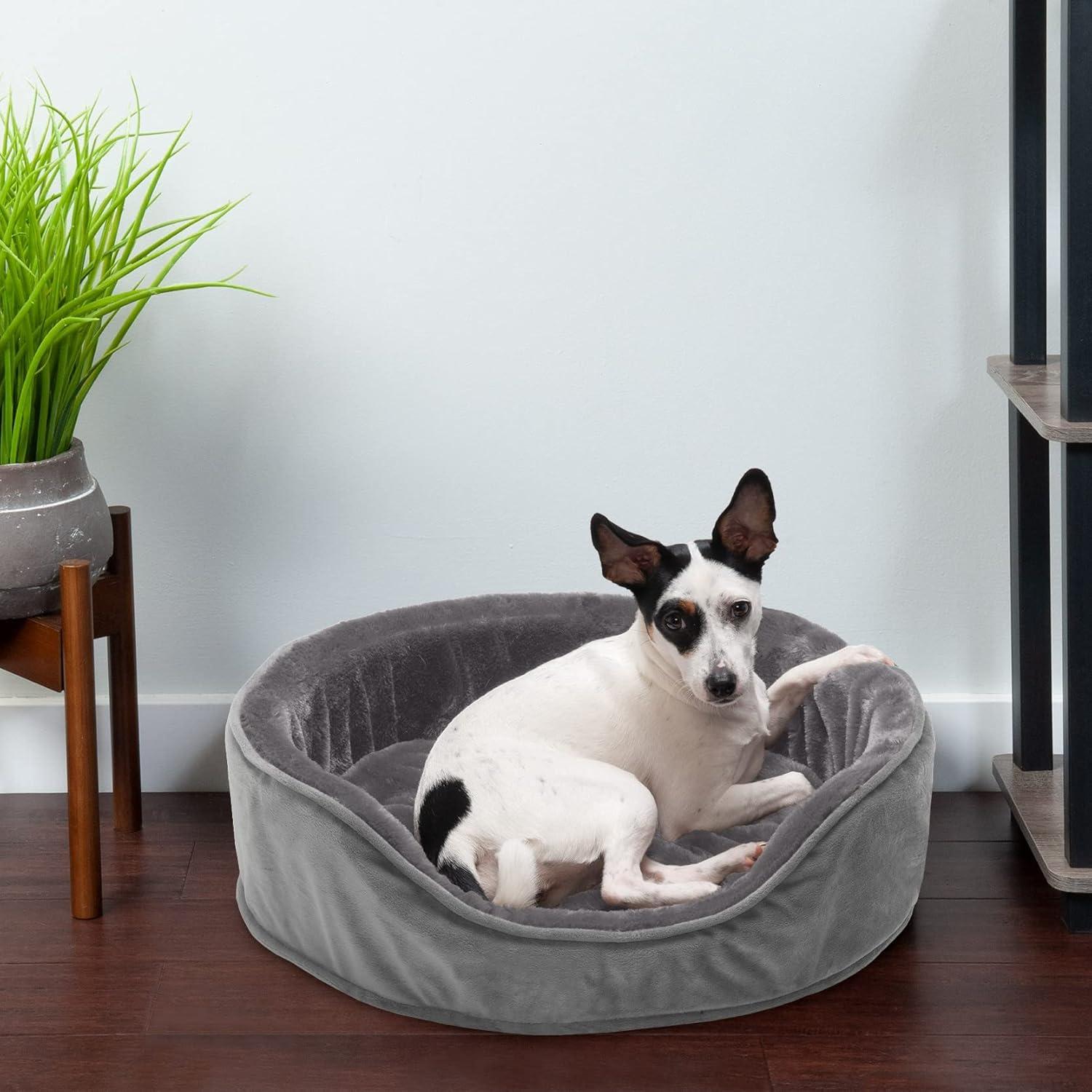 imageFurhaven Orthopedic Dog Bed for LargeMedium Dogs w Removable Washable Cover For Dogs Up to 30 lbs Sherpa ampamp Suede Oval Lounger Clay LargeVelvet Smoke Gray