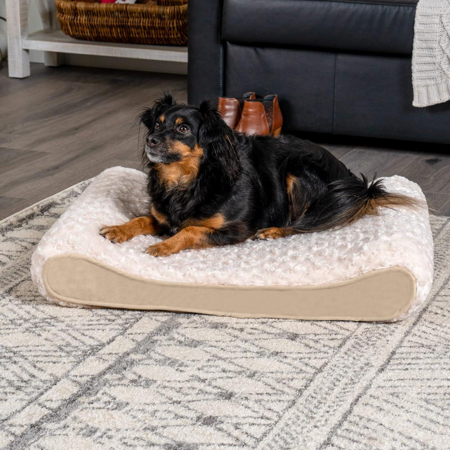 imageFurhaven Orthopedic Dog Bed for MediumSmall Dogs w Removable Washable Cover For Dogs Up to 23 lbs Ultra Plush Faux Fur ampamp Suede Luxe Lounger Contour Mattress Cream Medium