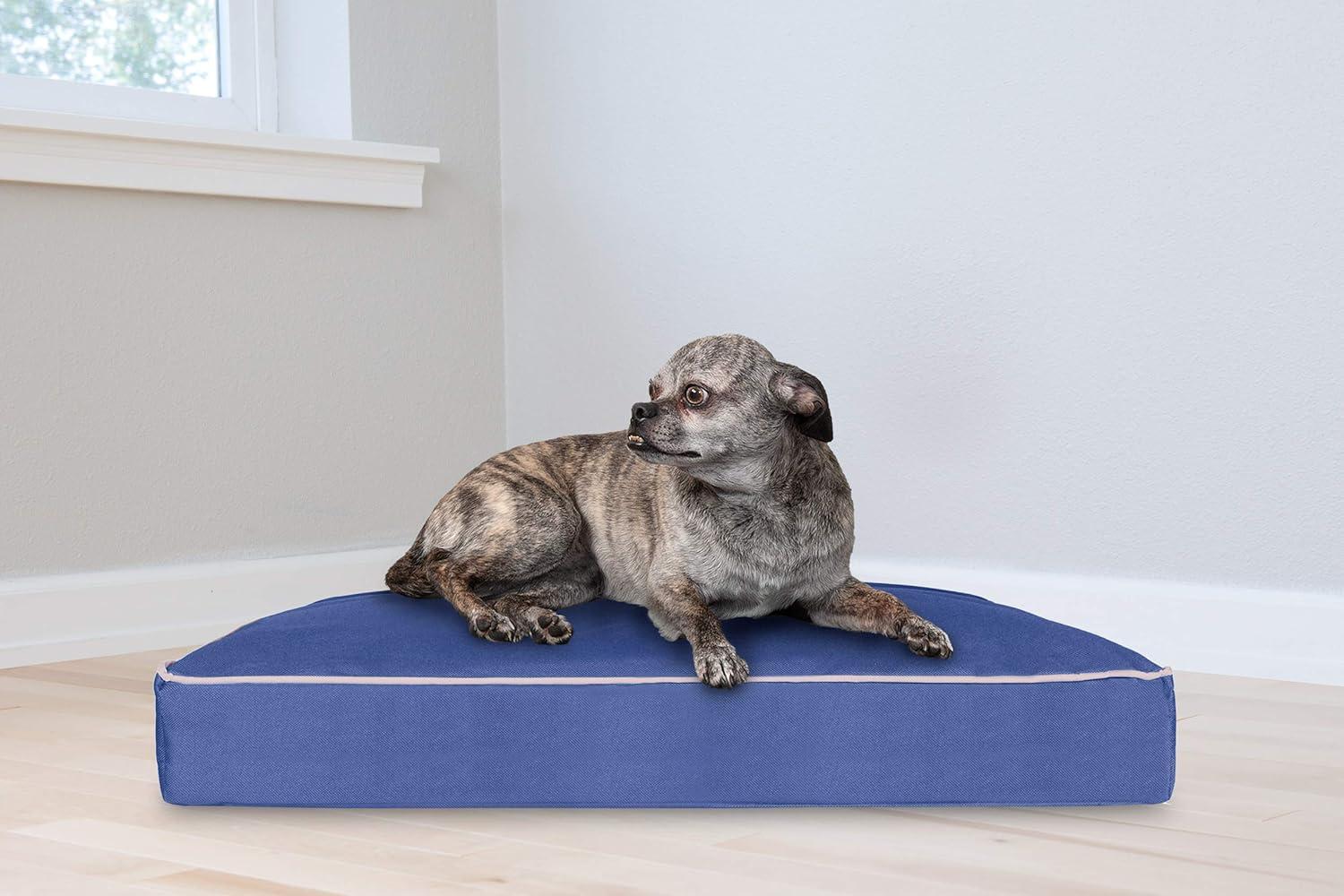 imageFurhaven Pillow Dog Bed for MediumSmall Dogs w Removable Washable Cover Ultra Plush Faux Fur ampamp Suede Mattress Cream MediumPolycanvas Blue