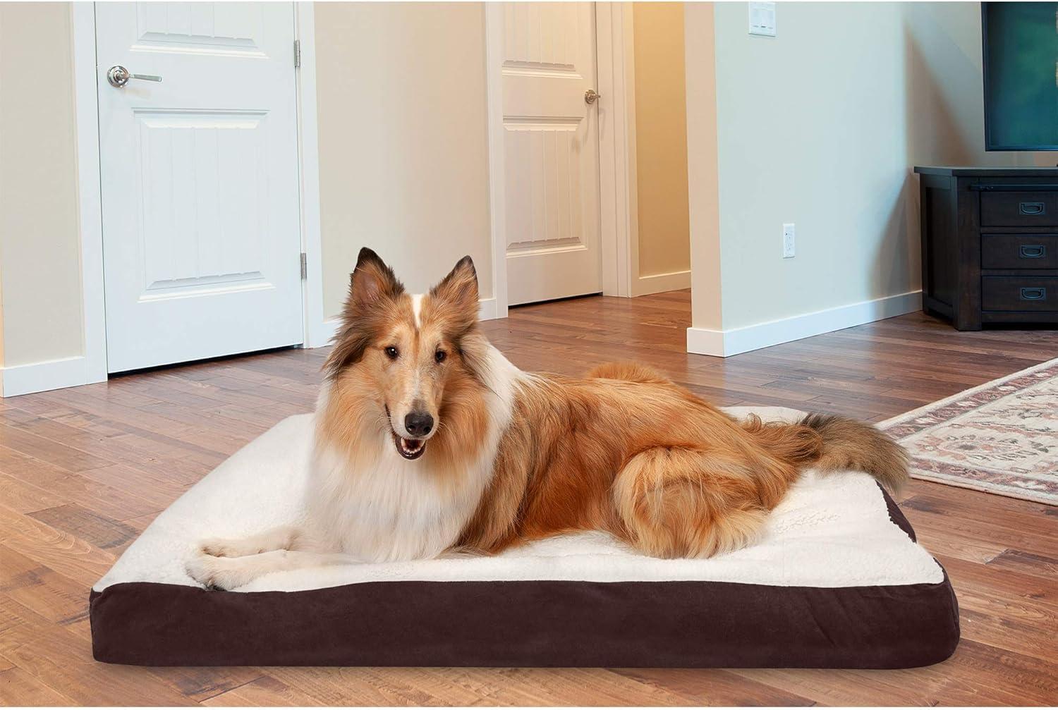 imageFurhaven Pillow Dog Bed for MediumSmall Dogs w Removable Washable Cover Ultra Plush Faux Fur ampamp Suede Mattress Cream MediumSherpa Suede Espresso