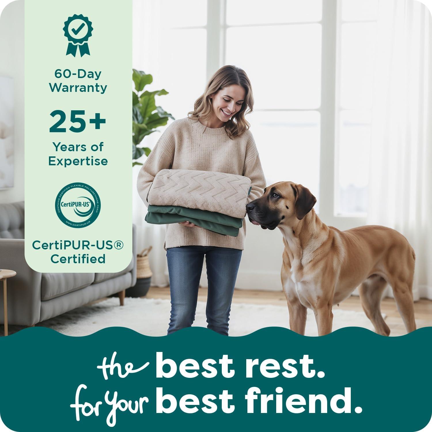 imageFurhaven Replacement Dog Bed Cover Sherpa ampamp Chenille SofaStyle Machine Washable Coffee MediumCeladon Green