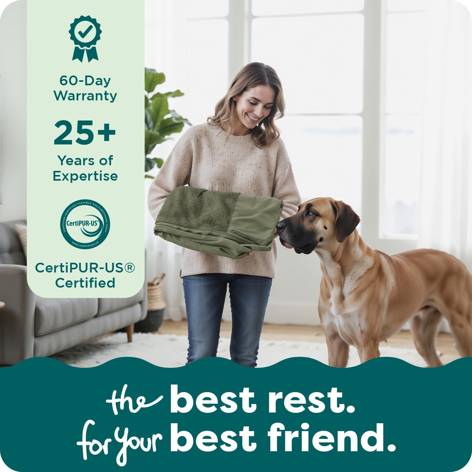 imageFurhaven Replacement Dog Bed Cover Sherpa ampamp Chenille SofaStyle Machine Washable Coffee MediumFaux Fur Velvet Dark Sage