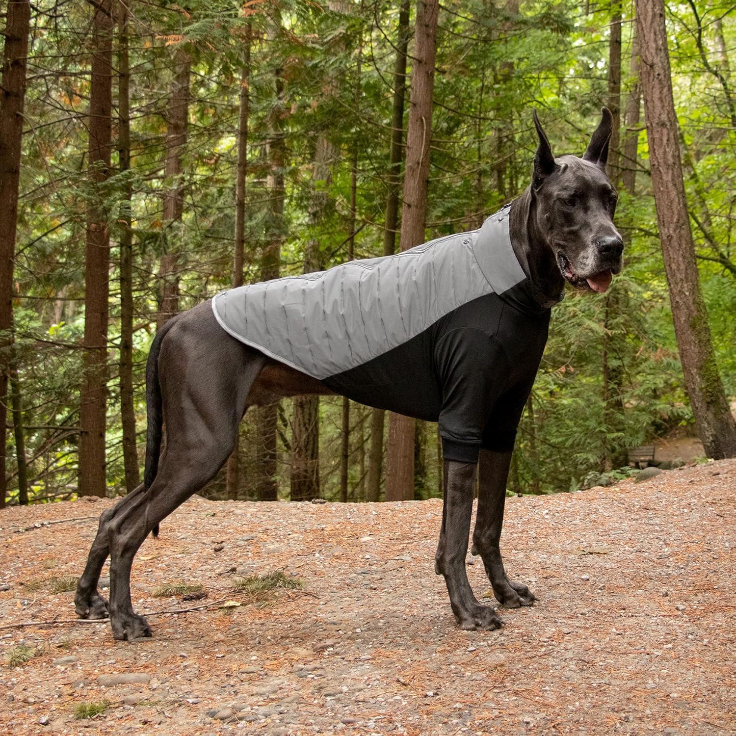 imageFurhaven WaterRepellent Small Dog Coat Washable ampamp Reflective w Leash Access ampamp Stretch Fabric ProFit Active Jacket Chrome SmallProFit Coat Chrome