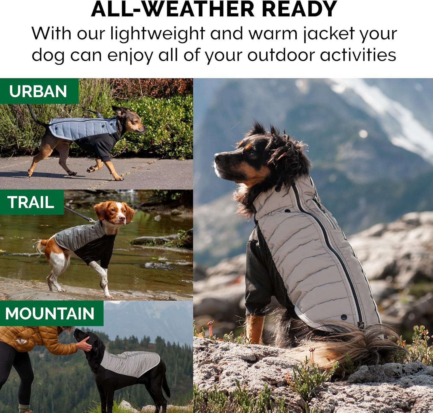 imageFurhaven WaterRepellent Small Dog Coat Washable ampamp Reflective w Leash Access ampamp Stretch Fabric ProFit Active Jacket Chrome SmallProFit Coat Chrome