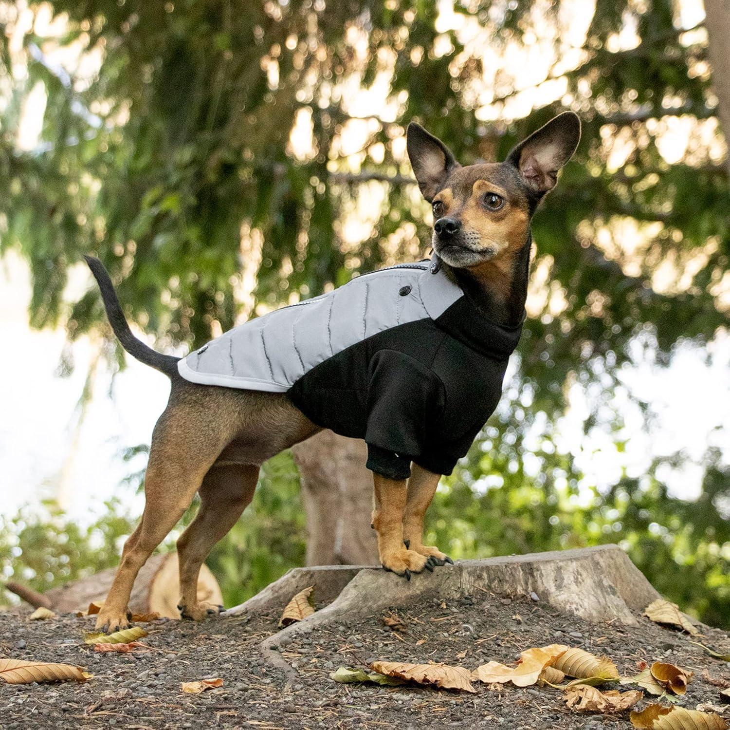 imageFurhaven WaterRepellent Small Dog Coat Washable ampamp Reflective w Leash Access ampamp Stretch Fabric ProFit Active Jacket Chrome SmallProFit Coat Chrome