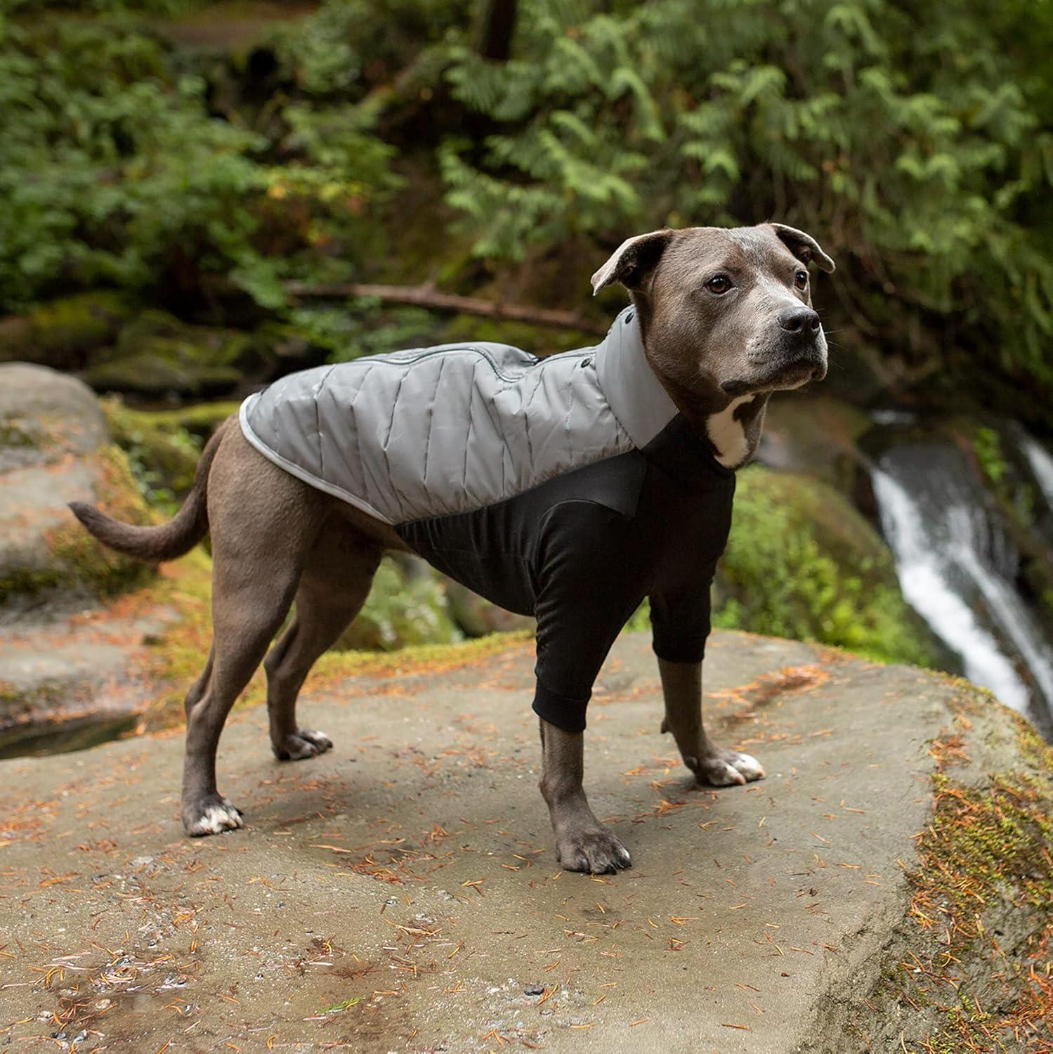 imageFurhaven WaterRepellent Small Dog Coat Washable ampamp Reflective w Leash Access ampamp Stretch Fabric ProFit Active Jacket Chrome SmallProFit Coat Chrome