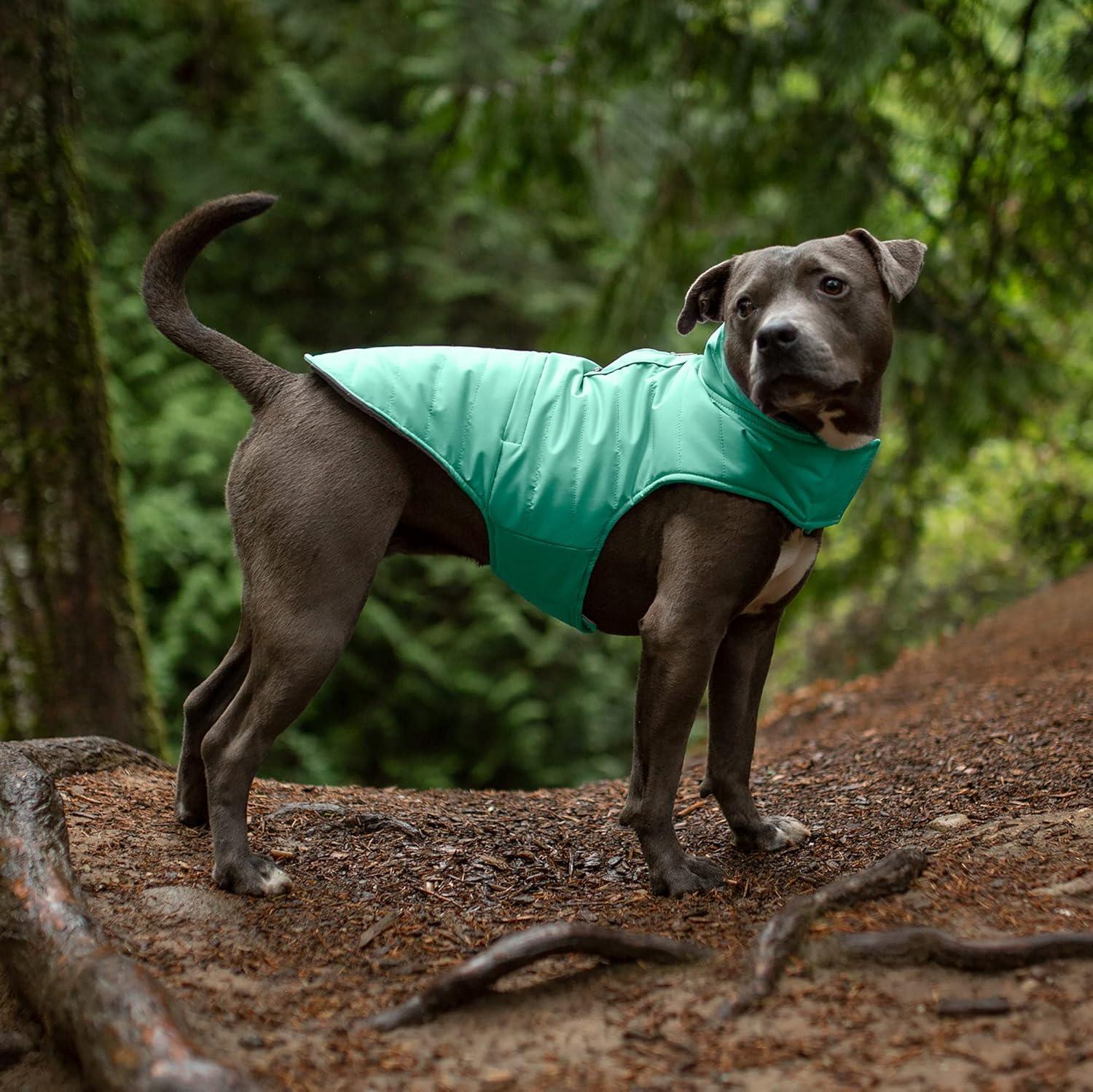 imageFurhaven WaterRepellent ampamp Reversible Medium Dog Coat Washable ampamp Reflective w Leash Access Pocket ampamp CarryOn Purse Puffer Dog Jacket Mint Medium