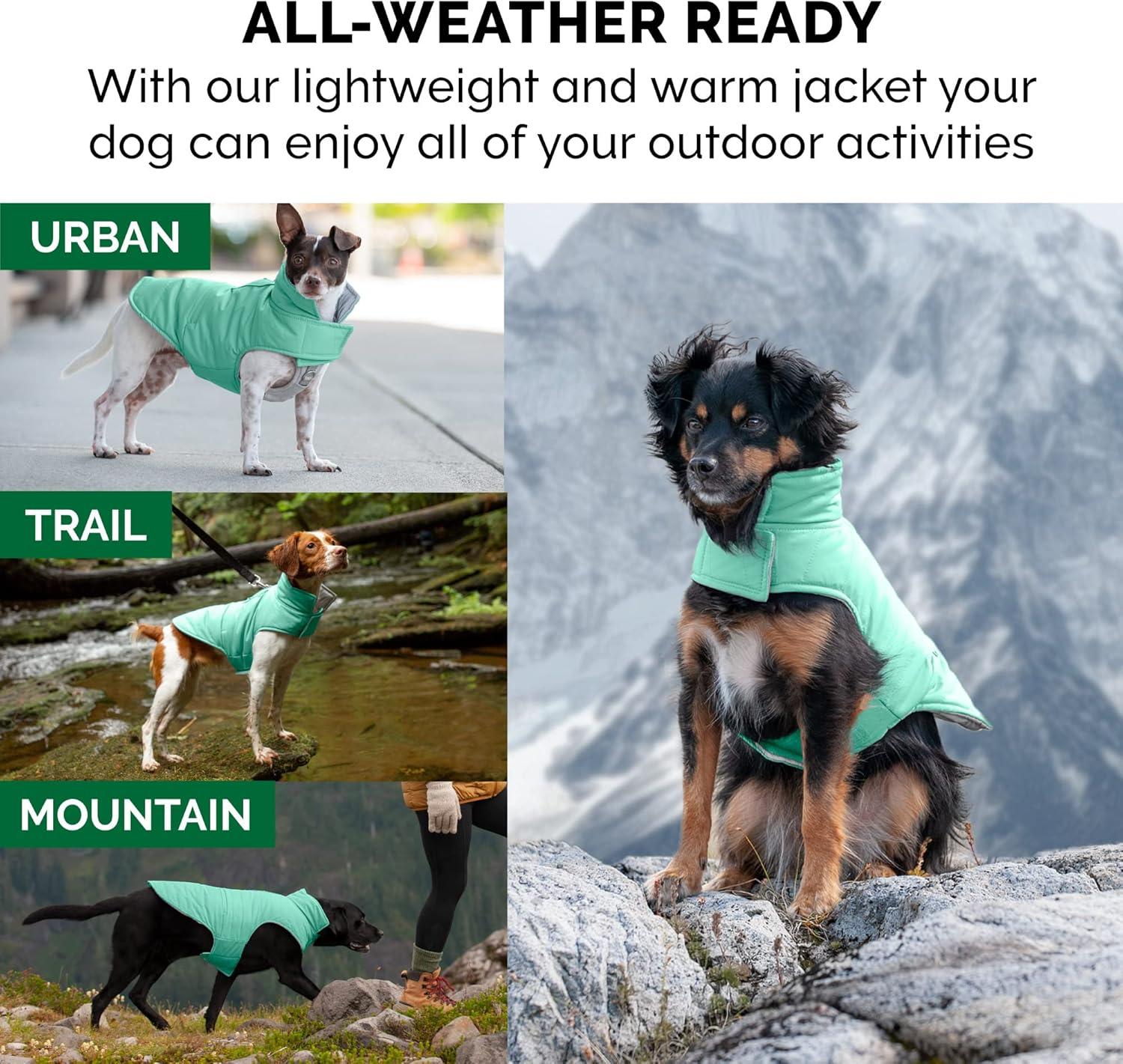 imageFurhaven WaterRepellent ampamp Reversible Medium Dog Coat Washable ampamp Reflective w Leash Access Pocket ampamp CarryOn Purse Puffer Dog Jacket Mint Medium