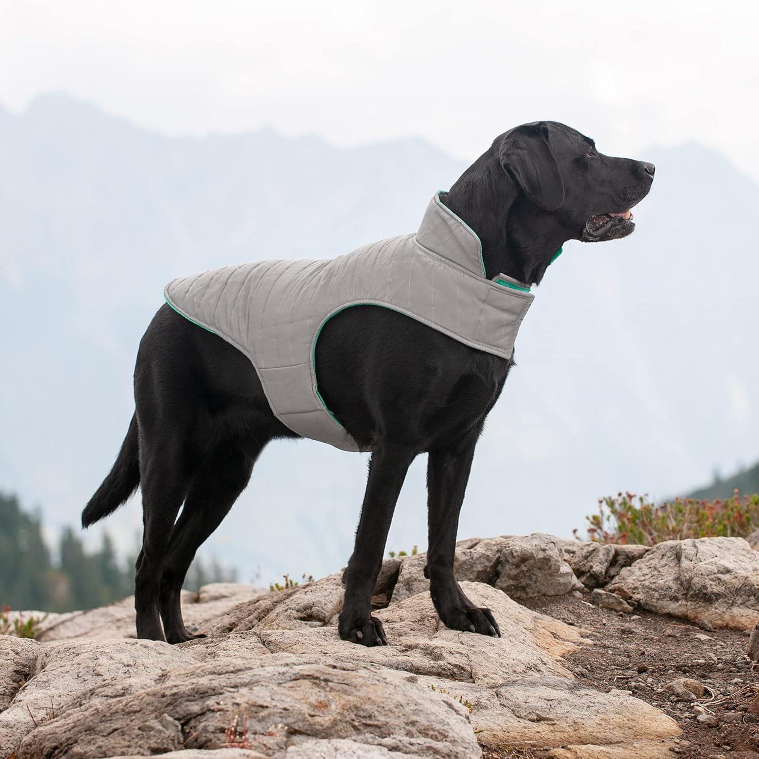 imageFurhaven WaterRepellent ampamp Reversible XL Dog Coat Washable ampamp Reflective w Leash Access Pocket ampamp CarryOn Purse Puffer Dog Jacket Mint Extra Large