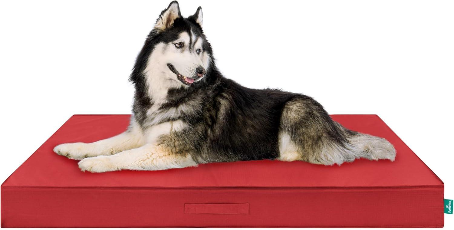 imageFurhaven WaterResistant Cooling Gel Dog Bed for MediumSmall Dogs w Removable Washable Cover For Dogs Up to 35 lbs IndoorOutdoor Logo Print Oxford Polycanvas Mattress Stone Gray MediumRed