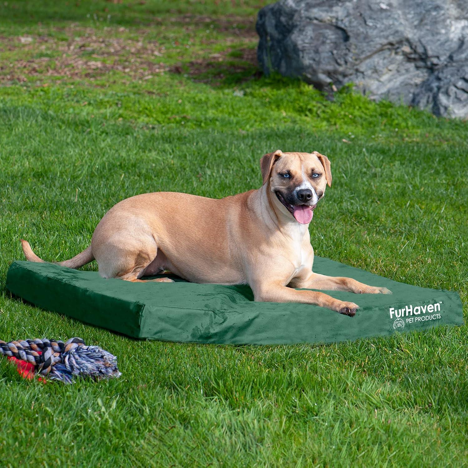 imageFurhaven WaterResistant Cooling Gel Dog Bed for MediumSmall Dogs w Removable Washable Cover For Dogs Up to 35 lbs IndoorOutdoor Logo Print Oxford Polycanvas Mattress Stone Gray MediumForest