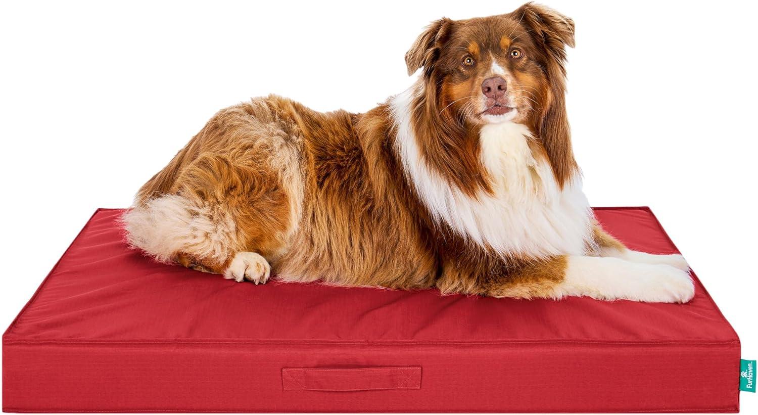 imageFurhaven WaterResistant Cooling Gel Dog Bed for MediumSmall Dogs w Removable Washable Cover For Dogs Up to 35 lbs IndoorOutdoor Logo Print Oxford Polycanvas Mattress Stone Gray MediumRed