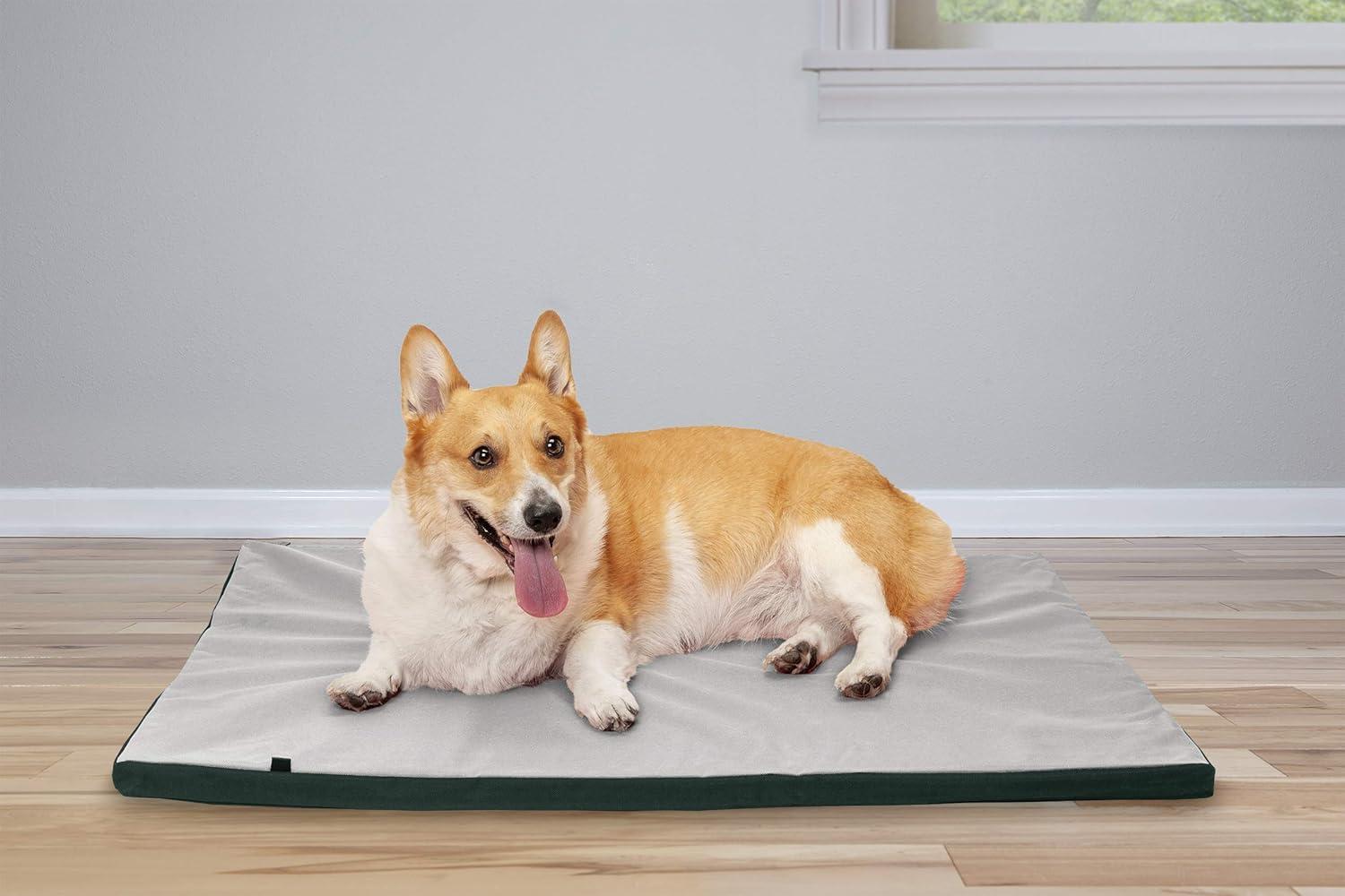 imageFurhaven WaterResistant Dog Bed for Extra Small Dogs w Removable Washable Cover Perfect for Crates ampamp Kennels For Dogs Up to 12 lbs TwoTone Reversible Crate Pad GreenGray Extra SmallGreenGray