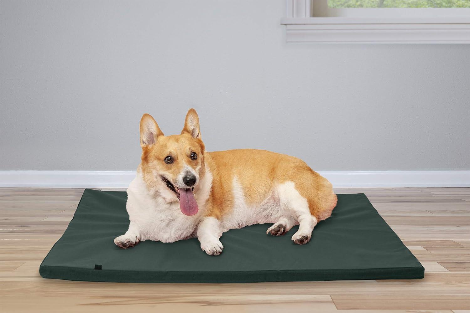 imageFurhaven WaterResistant Dog Bed for Extra Small Dogs w Removable Washable Cover Perfect for Crates ampamp Kennels For Dogs Up to 12 lbs TwoTone Reversible Crate Pad GreenGray Extra SmallGreenGray