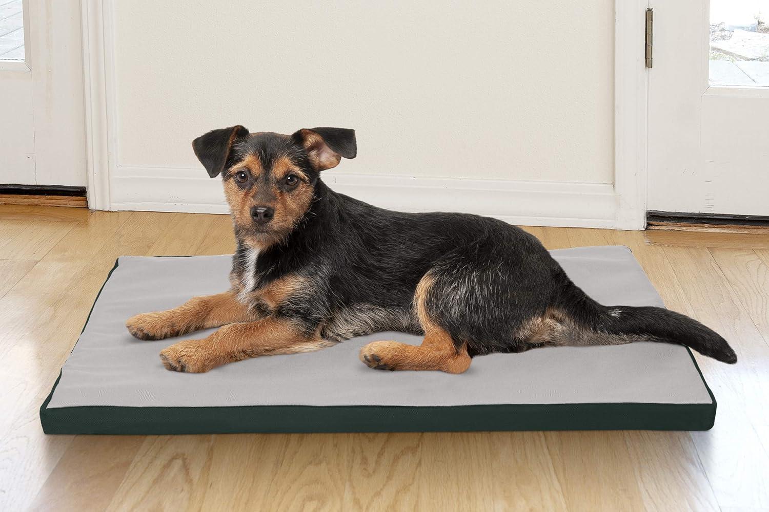 imageFurhaven WaterResistant Dog Bed for Extra Small Dogs w Removable Washable Cover Perfect for Crates ampamp Kennels For Dogs Up to 12 lbs TwoTone Reversible Crate Pad GreenGray Extra SmallGreenGray