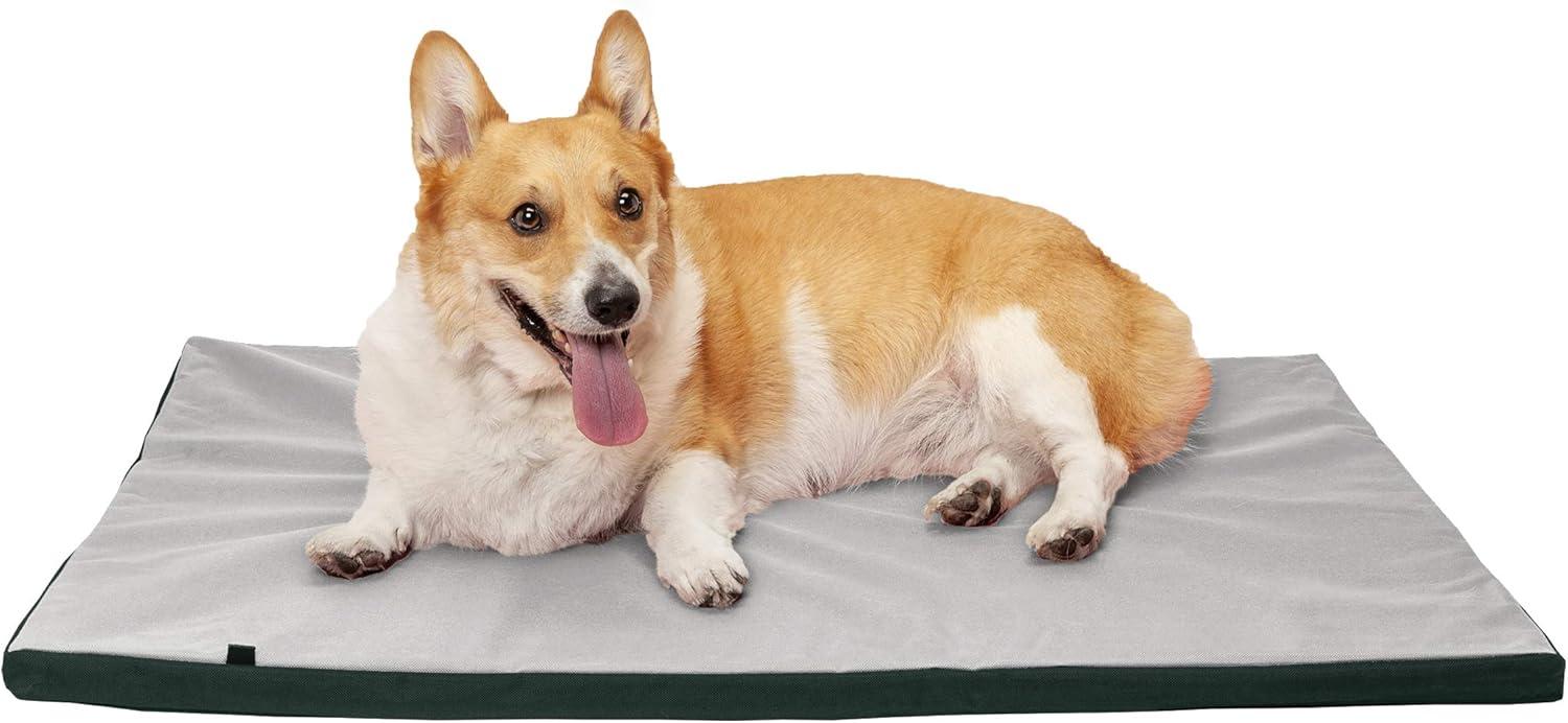 imageFurhaven WaterResistant Dog Bed for Extra Small Dogs w Removable Washable Cover Perfect for Crates ampamp Kennels For Dogs Up to 12 lbs TwoTone Reversible Crate Pad GreenGray Extra SmallGreenGray