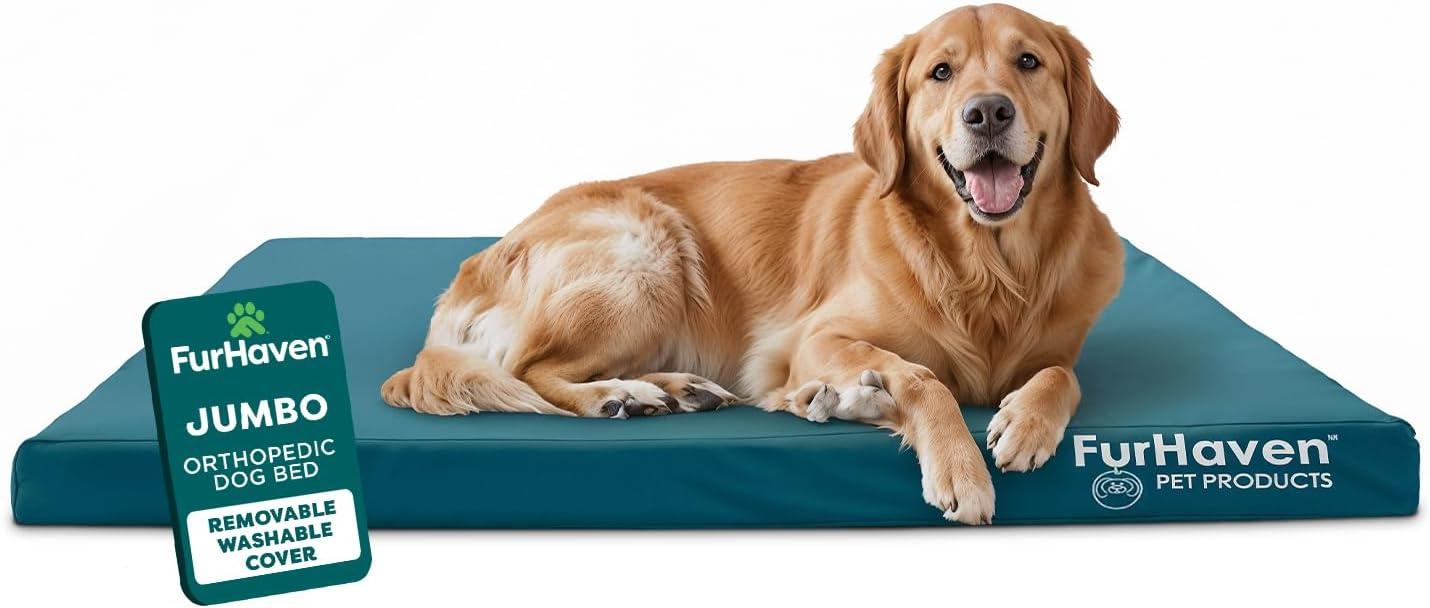 imageFurhaven WaterResistant Orthopedic Dog Bed for MediumSmall Dogs w Removable Washable Cover For Dogs Up to 35 lbs IndoorOutdoor Logo Print Oxford Polycanvas Mattress Stone Gray MediumWaterResistant Logo Print Deep Lagoon