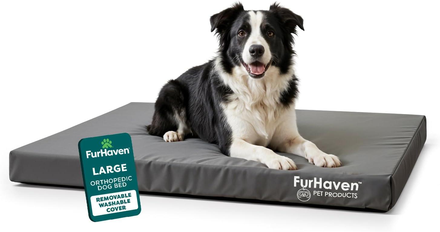 imageFurhaven WaterResistant Orthopedic Dog Bed for MediumSmall Dogs w Removable Washable Cover For Dogs Up to 35 lbs IndoorOutdoor Logo Print Oxford Polycanvas Mattress Stone Gray MediumWaterResistant Logo Print Stone Gray
