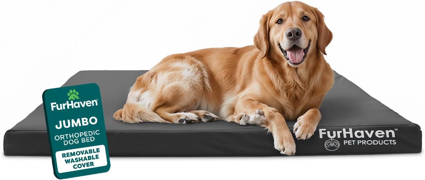 imageFurhaven WaterResistant Orthopedic Dog Bed for MediumSmall Dogs w Removable Washable Cover For Dogs Up to 35 lbs IndoorOutdoor Logo Print Oxford Polycanvas Mattress Stone Gray MediumWaterResistant Logo Print Stone Gray