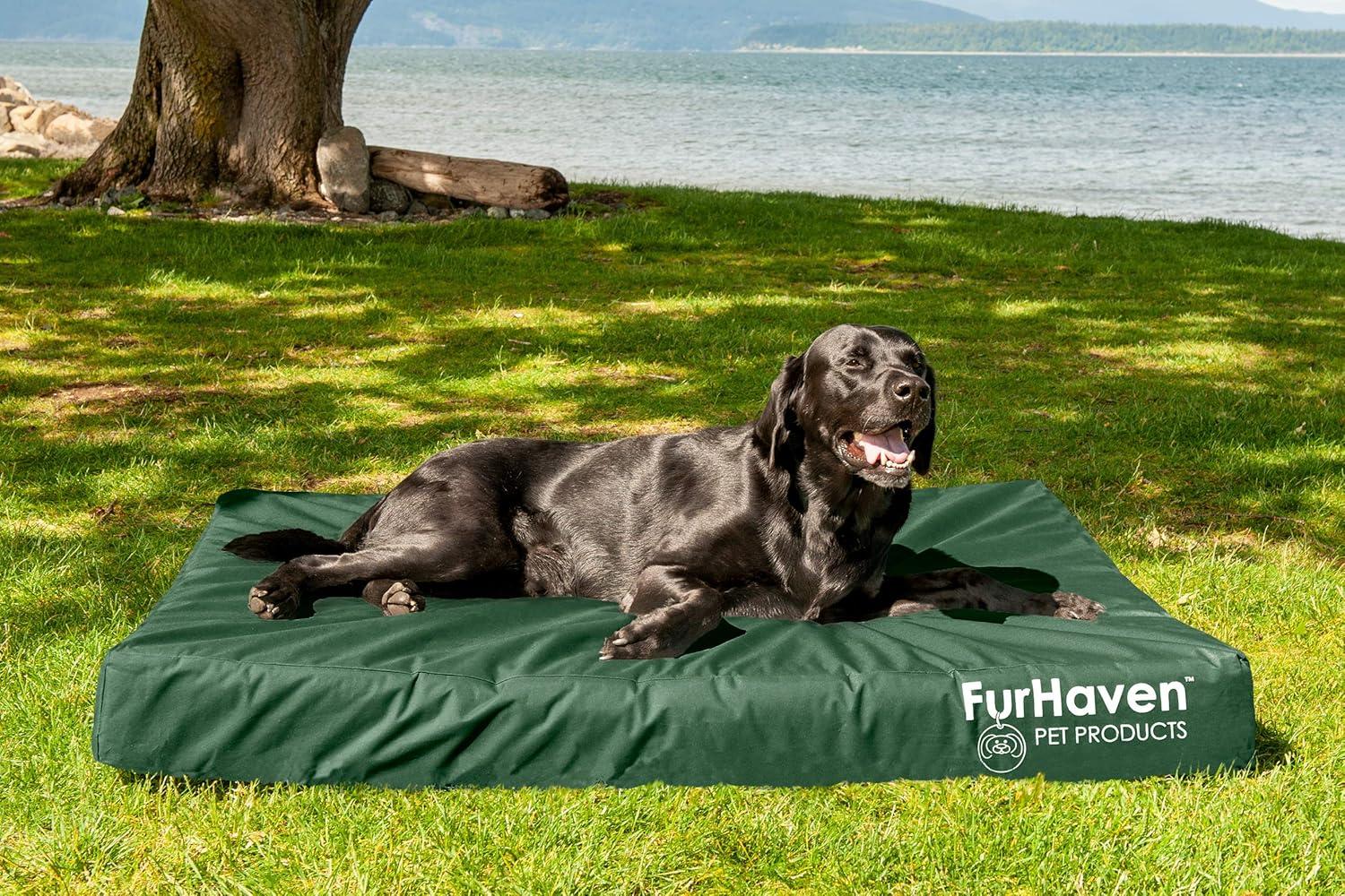 imageFurhaven WaterResistant Orthopedic Dog Bed for MediumSmall Dogs w Removable Washable Cover For Dogs Up to 35 lbs IndoorOutdoor Logo Print Oxford Polycanvas Mattress Stone Gray MediumWaterResistant Logo Print Forest