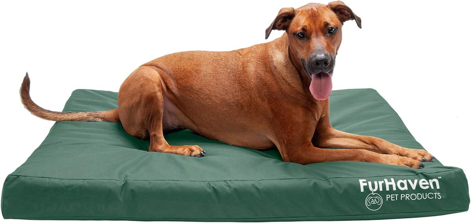 imageFurhaven WaterResistant Orthopedic Dog Bed for MediumSmall Dogs w Removable Washable Cover For Dogs Up to 35 lbs IndoorOutdoor Logo Print Oxford Polycanvas Mattress Stone Gray MediumWaterResistant Logo Print Forest