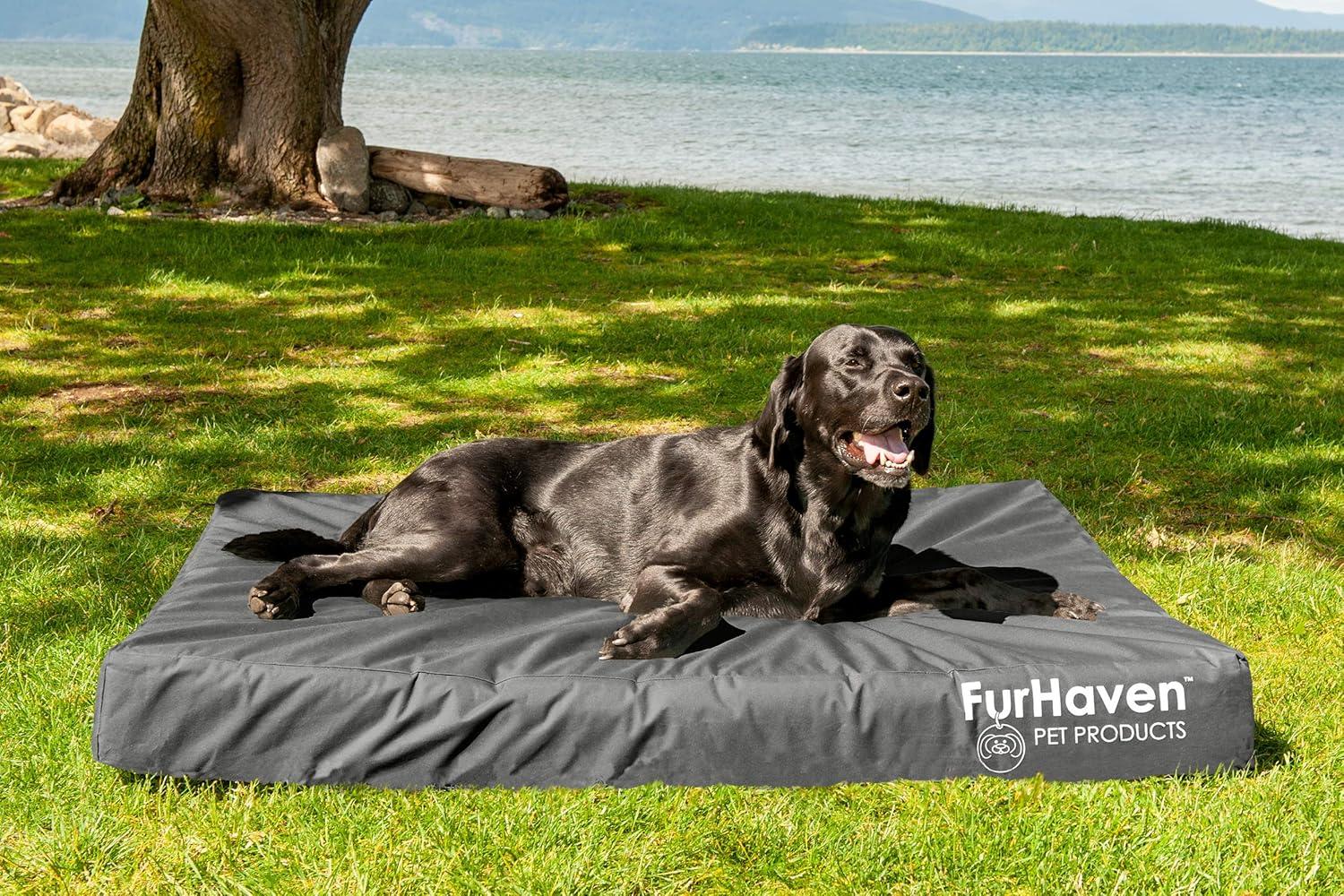 imageFurhaven WaterResistant Orthopedic Dog Bed for MediumSmall Dogs w Removable Washable Cover For Dogs Up to 35 lbs IndoorOutdoor Logo Print Oxford Polycanvas Mattress Stone Gray MediumWaterResistant Logo Print Stone Gray