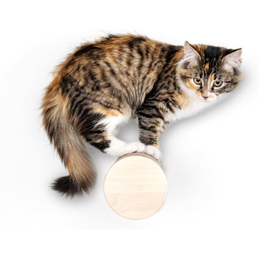 imageFurhaven 1575quot Tall Playground for Indoor Cats Ft Sisal Scratching Posts SelfGrooming Brush ampamp Toy Tiger Tough Hammock Interactive Playground Silver One SizeAscentials Milestone
