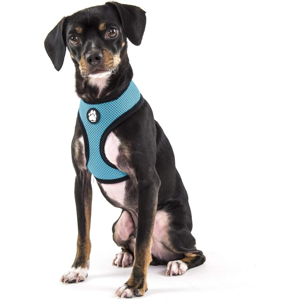 imageFurhaven Adjustable Padded Mesh Dog Harness Lagoon Blue Small