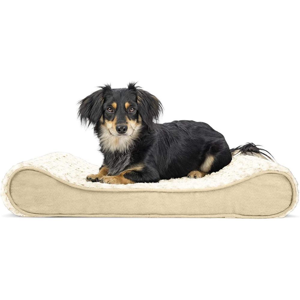 imageFurhaven Orthopedic Dog Bed for MediumSmall Dogs w Removable Washable Cover For Dogs Up to 23 lbs  Ultra Plush Faux Fur ampamp Suede Luxe Lounger Contour Mattress  Cream Medium
