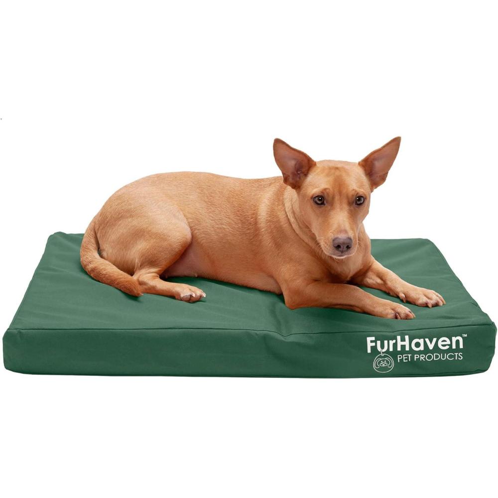 imageFurhaven WaterResistant Orthopedic Dog Bed for MediumSmall Dogs w Removable Washable Cover For Dogs Up to 35 lbs IndoorOutdoor Logo Print Oxford Polycanvas Mattress Stone Gray MediumWaterResistant Logo Print Forest