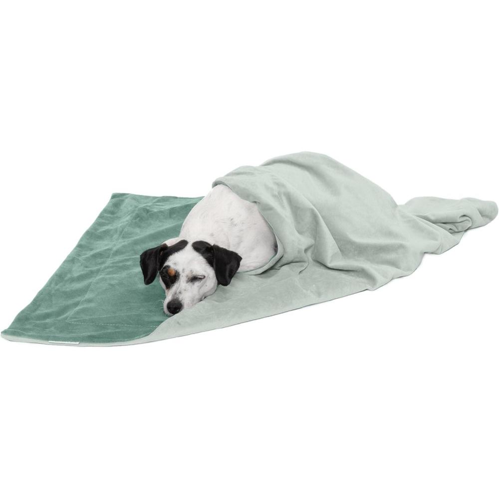imageFurhaven Waterproof Throw Blanket for Dogs ampamp Indoor Cats Washable  TwoTone Luxe Velvet Dog Blanket  Granite Gray Extra LargeXLCeladon Green