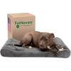 Minky Plush & Velvet (Gray)